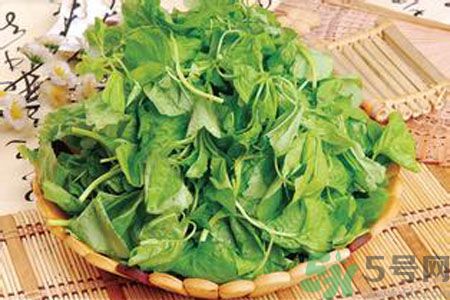莧菜是發(fā)物嗎？莧菜是不是發(fā)物？