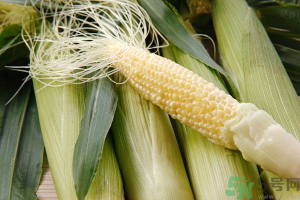 南瓜和玉米可以一起吃嗎？南瓜和玉米一起吃好嗎？
