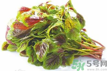孕婦可以吃漢菜嗎？懷孕可以吃漢菜嗎？