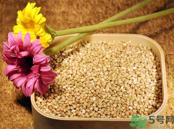 蕎麥?zhǔn)前l(fā)物嗎？蕎麥?zhǔn)遣皇前l(fā)物？