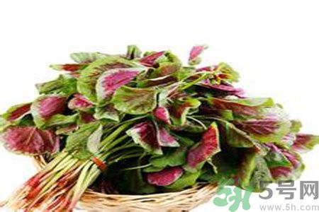 胃不好可以吃莧菜嗎？胃不好吃莧菜好嗎？