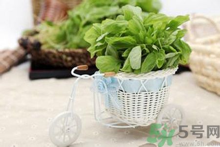 糖尿病可以吃莧菜嗎？糖尿病吃莧菜好嗎？