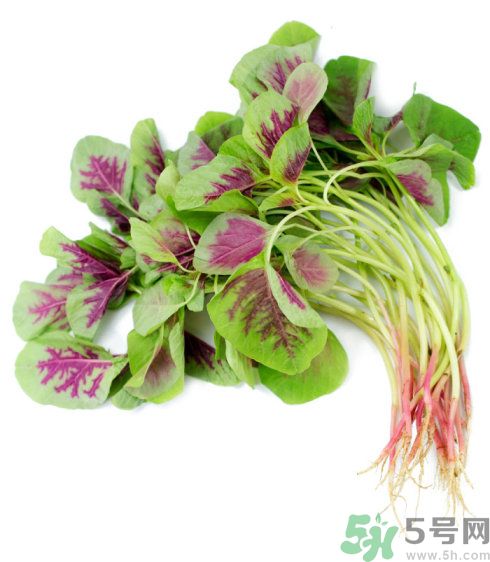 吃莧菜會皮膚過敏嗎？吃莧菜皮膚過敏怎么辦？