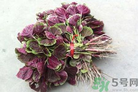 衣服上染上了莧菜汁怎么辦？衣服上的莧菜汁怎么洗掉？
