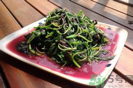 莧菜汁可以放多久？莧菜汁放多久會壞？