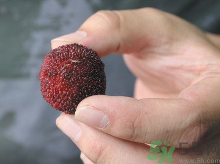 楊梅里面的蟲子能吃嗎？楊梅里面的蟲子吃了會怎么樣？