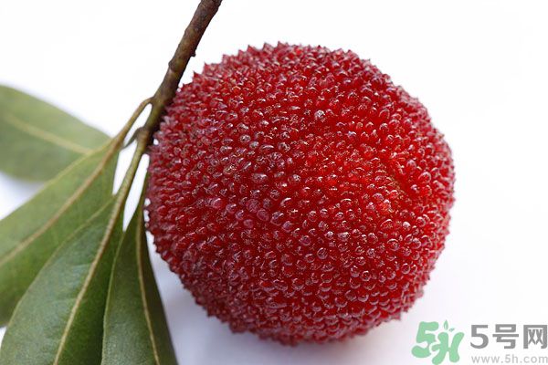楊梅里面的蟲子能吃嗎？楊梅里面的蟲子吃了會怎么樣？