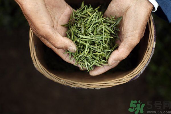 吃魚(yú)的時(shí)候能喝茶嗎？吃魚(yú)可以喝茶嗎？