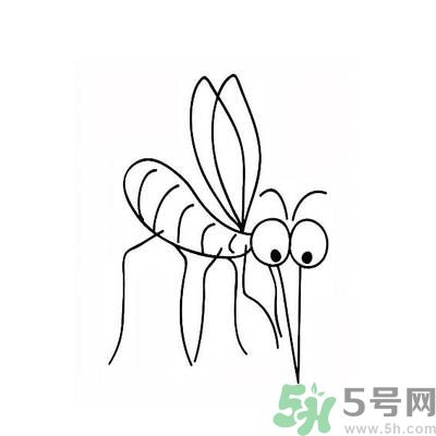 夏天家中有蒼蠅怎么辦？夏天如何滅蒼蠅？