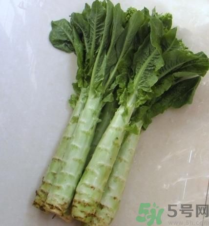 筍子是不是發(fā)物？筍子是發(fā)物嗎？