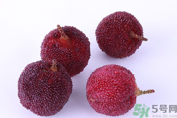 楊梅里面有小蟲怎么洗？楊梅里的蟲子怎么弄出來？