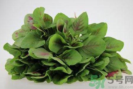 莧菜可以生吃嗎？莧菜生吃了會(huì)怎樣？