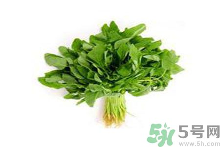 莧菜可以生吃嗎？莧菜生吃了會怎樣？