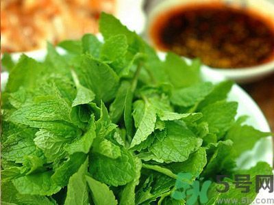 薄荷可以炒菜吃嗎？薄荷可以用來炒菜嗎？