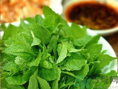 薄荷有什么功效？薄荷的攻效是什么？