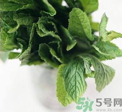 薄荷有什么功效？薄荷的攻效是什么？