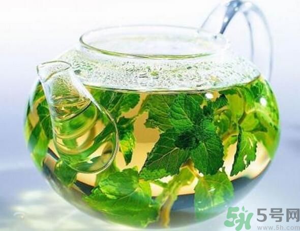 薄荷茶怎么泡好喝？薄荷茶的沖泡方法有哪些？