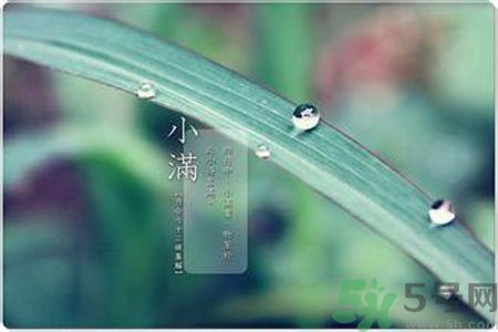 小滿容易得什么皮膚病？小滿得了皮膚病怎么辦？