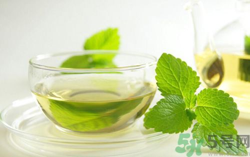  孕婦可以喝薄荷茶嗎？孕婦能喝薄荷泡的茶嗎？