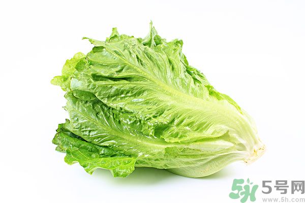 生菜在冰箱放久了能吃嗎？如何分辨生菜新不新鮮？