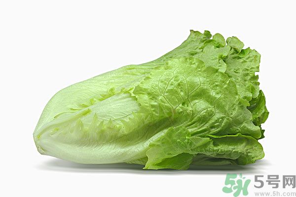 生菜在冰箱放久了能吃嗎？如何分辨生菜新不新鮮？