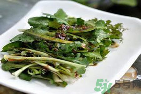 苦菜是酸性還是堿性？苦菜是堿性的嗎？