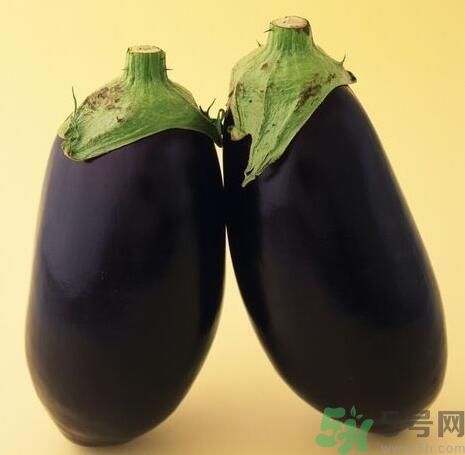 青皮茄子和紫皮茄子有什么區(qū)別？青皮茄子好還是紫皮茄子好？