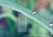 為什么小滿濕氣重？小滿怎么除濕氣？