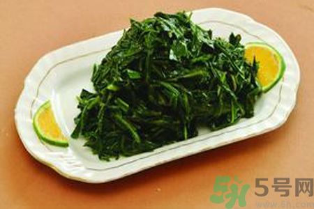 苦菜苦不苦？苦菜怎么做不苦？
