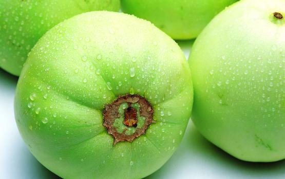 甜瓜可以放幾天？甜瓜可以保存幾天才會(huì)壞？