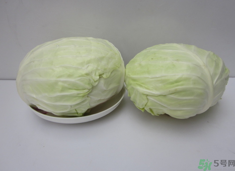 包菜榨汁要加水嗎？包菜汁怎么做？