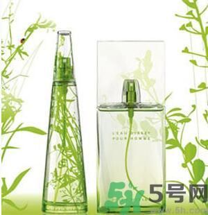 蚊子叮的包過幾天又癢是為什么？蚊子叮的包過幾天又癢怎么辦？