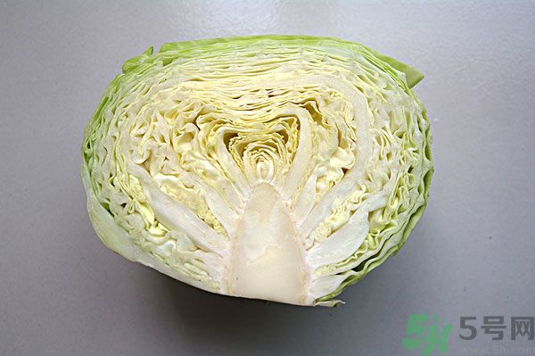 包菜能和魚一起吃嗎？魚可以和包菜一起吃嗎？