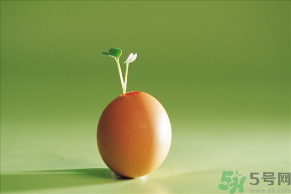 生菜和雞蛋能一起吃嗎？生菜和雞蛋一起怎么做？