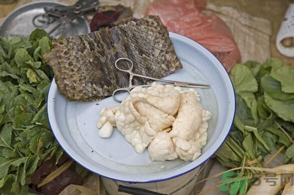 夏天吃蛇肉可以清火嗎？夏天吃蛇肉可以降火嗎？