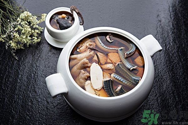 蛇肉是涼性嗎？蛇肉是涼性還是熱性？