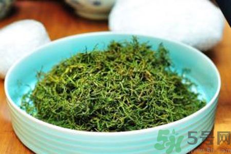 苦菜茶可以和綠茶一起喝嗎？苦菜茶可以和其他茶一起喝嗎？