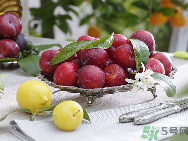 為什么說李子樹下埋死人？李子的食用禁忌有哪些？