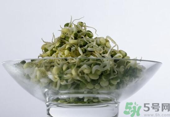 夏天吃綠豆芽可以清火嗎？夏天吃綠豆芽能降火嗎？