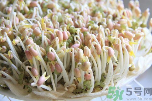 吃毛豆可以減肥嗎？吃毛豆有減肥作用嗎？