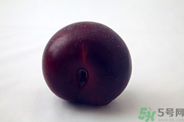 黑布林是李子嗎？黑布林的功效與作用