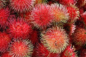 吃紅毛丹上火嗎？吃紅毛丹上火怎么辦？