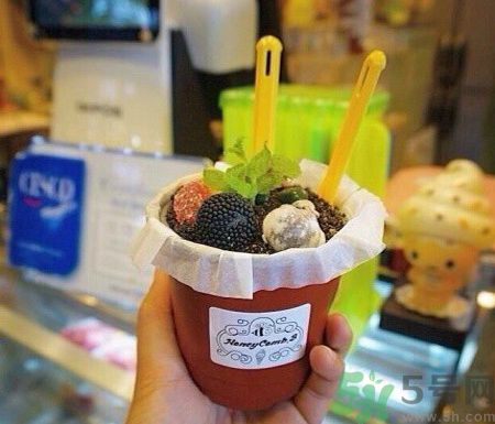 盆栽冰淇淋哪里買(mǎi)？盆栽冰淇淋怎么做？