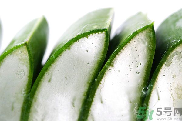 蘆薈有什么功效？蘆薈的功效是什么？