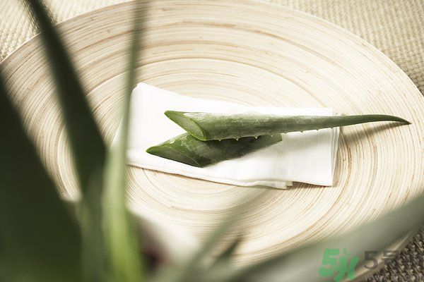 蘆薈可以吃嗎？蘆薈怎么吃？