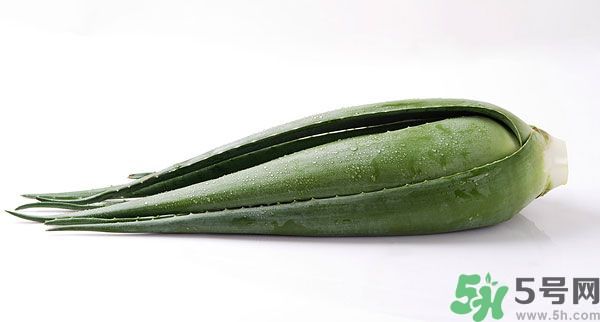 經(jīng)期可以吃蘆薈嗎？經(jīng)期吃蘆薈會肚子痛嗎？