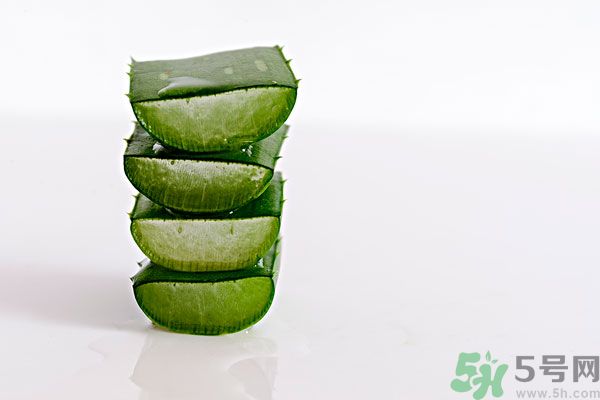蘆薈是發(fā)物嗎？蘆薈是不是發(fā)物？