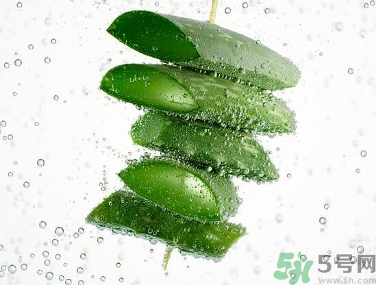 男性可以吃蘆薈嗎？男性吃蘆薈好不好？