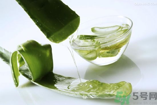 蘆薈的皮可以吃嗎？吃蘆薈要不要削皮？