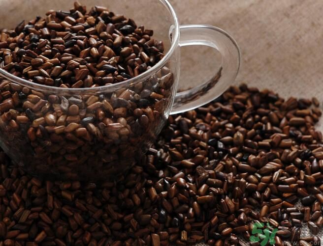 決明子泡茶喝可以減肥嗎？決明子泡茶喝有減肥效果嗎？